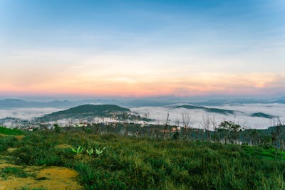 pexels kyoz 25566345